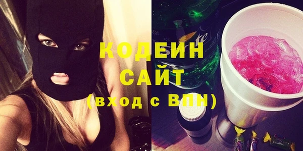 индика Покров