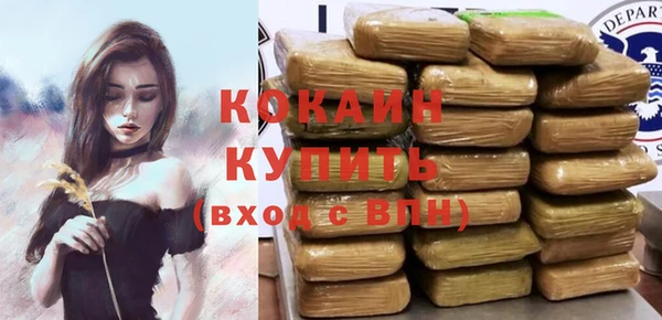 индика Покров