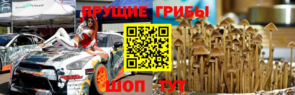 Галлюциногенные грибы ЛСД  Алатырь 