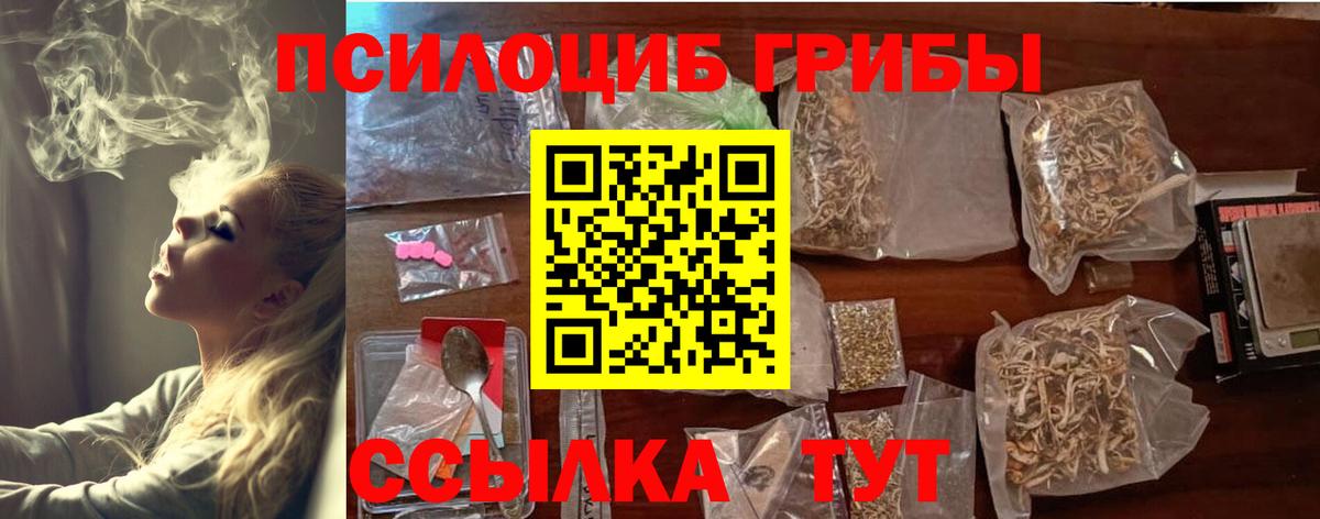 Псилоцибиновые грибы Cubensis Алатырь