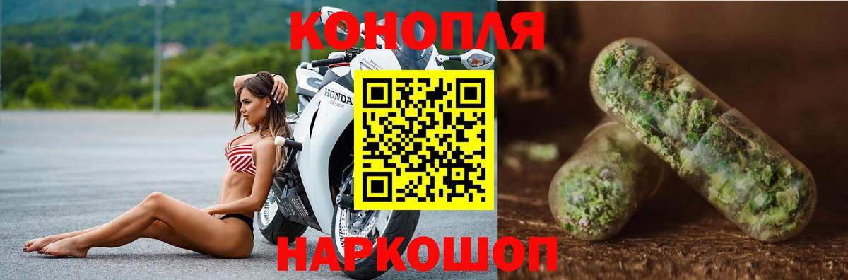 Канабис конопля  Канабис планчик  Вход с VPN  Алатырь  Каннабис OG Kush 